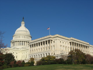 Obraz premium United States Capitol Building Washington DC