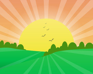 Summer landscape. Green fields. Heat. For your design.