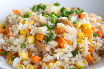 Delicious fried rice on white plate background