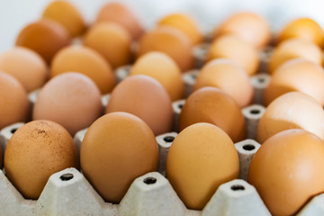 Closeup of crust with eggs. Defokus in the background. Eggs for easter.