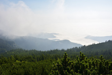 mountain landscape with morning fog at sunrise