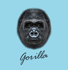 Vector Illustrated portrait of Gorilla male