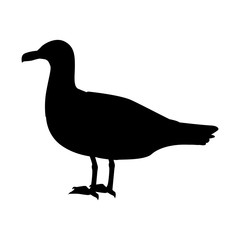 Gull Flat Design Vector Illustration
