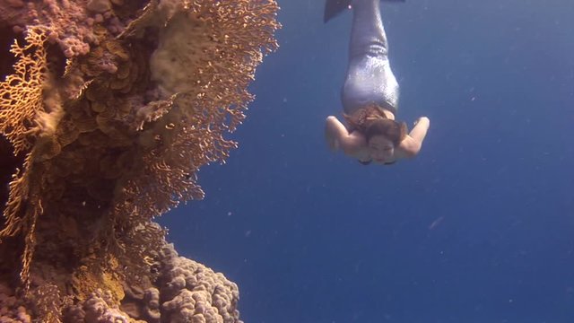 Underwater model free diver swims in mermaid costume in Red Sea. Filming a movie. Young girl smiling at camera in marine landscape, coral reefs, ocean inhabitants.