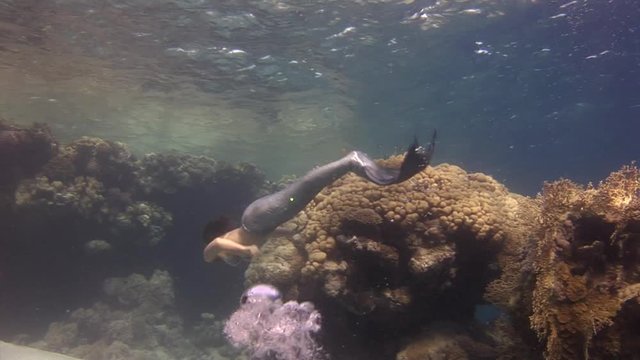 Underwater model free diver swims in mermaid costume in Red Sea. Filming a movie. Young girl smiling at camera. Marine landscape, coral reefs, ocean inhabitants.