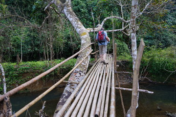 Bambusbrücke bei Vang Vieng