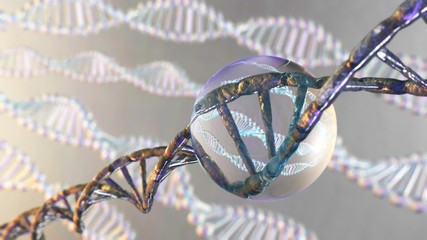 RNA, DNA Beautiful model on a blurred background, 3d rendering - obrazy, fototapety, plakaty