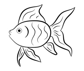 Silhouette of gold fish isolated