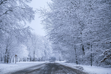 Frozen road