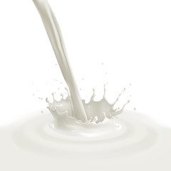 vector pouring milk splash isolated on white background