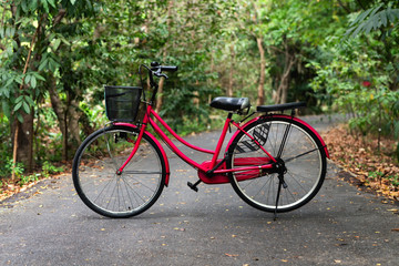 Fototapeta na wymiar Bicycles parked in the street park.