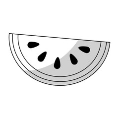 watermelon fruit icon over white background. vector illustration