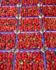 red ripe strawberries in the box in the grocery sales