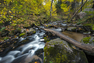 Floating river in the forest