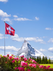 Matterhorn mit Alpenrosen - obrazy, fototapety, plakaty