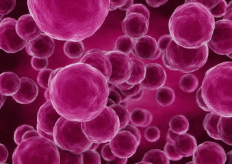 3d rendering sphere bacteria cells closeup