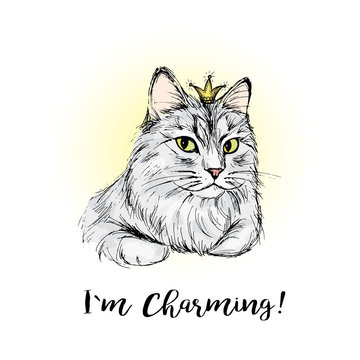 Charming cat with lettering, hand drawing