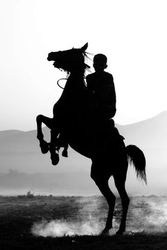 curvet horse ad boy silhouette