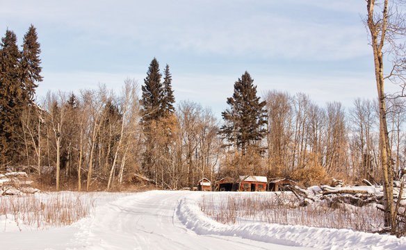 A plowed driveway leading to old crumbling red weathered buildings surrounded by forest of tall trees in a rural winter landscape