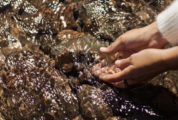 Hands cupped in running water outside