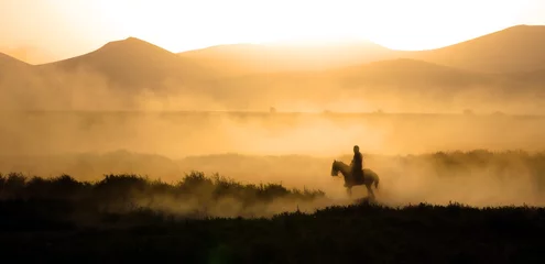 Rolgordijnen A man riding horse silhouette © Davut
