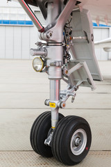 Fototapeta premium front landing gear light aircraft