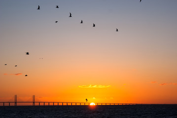 Sonnenuntergang vor der Öresundbrücke