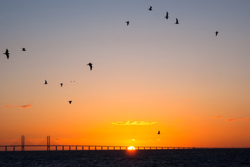 Naklejka na ściany i meble Sonnenuntergang vor der Öresundbrücke