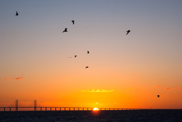 Fototapeta na wymiar Sonnenuntergang vor der Öresundbrücke