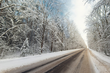 Winter forest nature and the road
