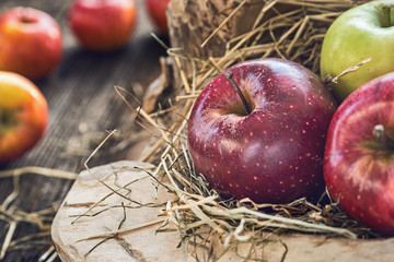 Saftige Bioäpfel © coldwaterman