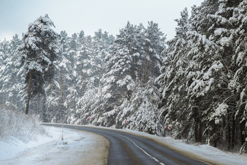 Winter forest and Auto road