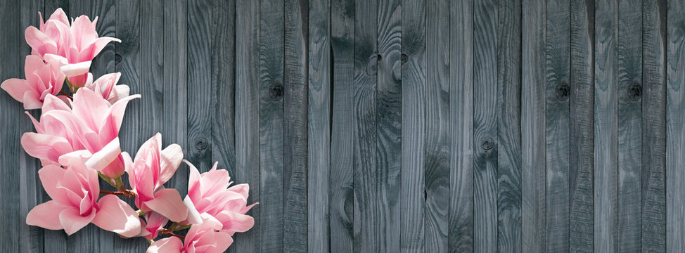 Fototapeta Background with magnolia flowers on wall of wooden planks