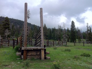 Corral on edge of forest