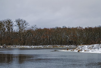 winter forest above the lake
