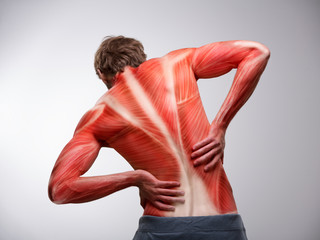 Back pain. Back view of athlete man torso with muscle structure.