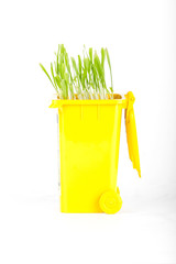 Yellow plastic trash recycling container ecology, green wheat
