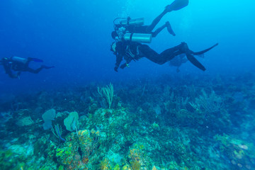 Underwater scene with three scuba divers