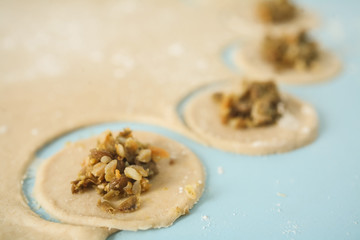 raw homemade ravioli on the plate
