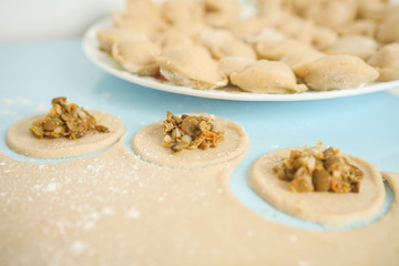 raw homemade ravioli on the plate