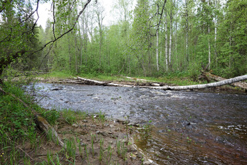Fototapeta na wymiar Rural river landscape in spring