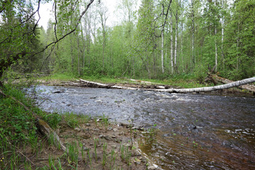 Rural river landscape in spring