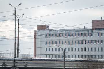 Obraz premium The plant and the evening sky. Pollution