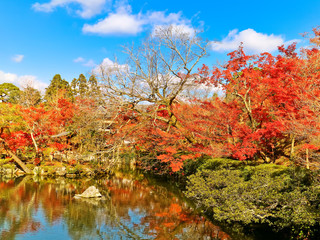 View of the Japanese garden in autumn in Kyoto, Japan.