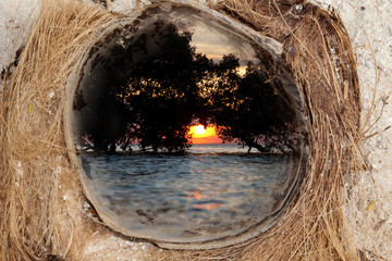 envie de soleil