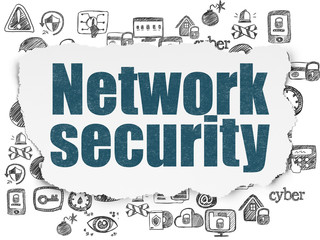 Security concept: Network Security on Torn Paper background
