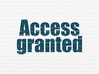 Security concept: Access Granted on wall background