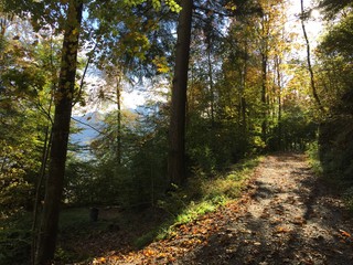 Obraz premium Wanderweg in der Schweiz, Herbstlandschaft