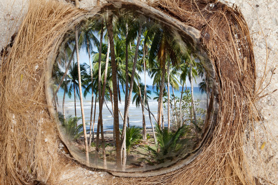 รูปภาพFocaliser – เลือกดูภาพถ่ายสต็อก เวกเตอร์ และวิดีโอ488 | Adobe Stock