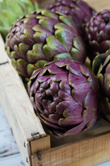 Fototapeta premium Fresh big Romanesco artichokes green-purple flower heads ready to cook